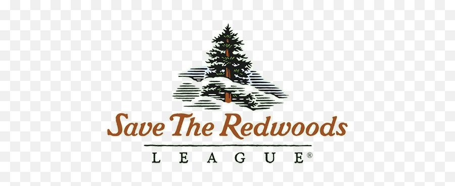 Current Partners - Save The Redwoods League Png,Redwood Tree Png