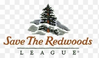 Current Partners - Save The Redwoods League Png,Redwood Tree Png