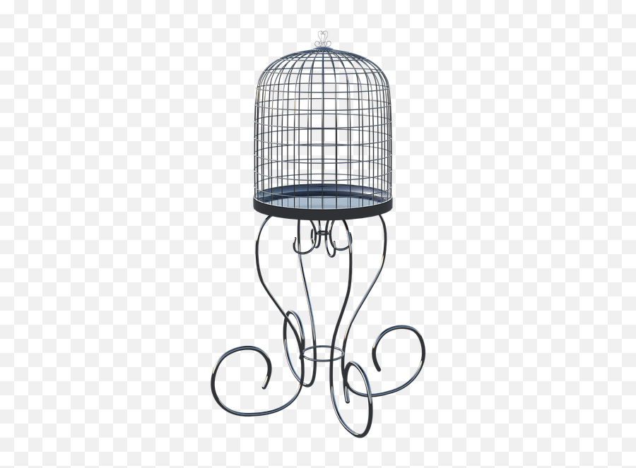 Birdcage Cage Birds - Cylinder Png,Birdcage Png