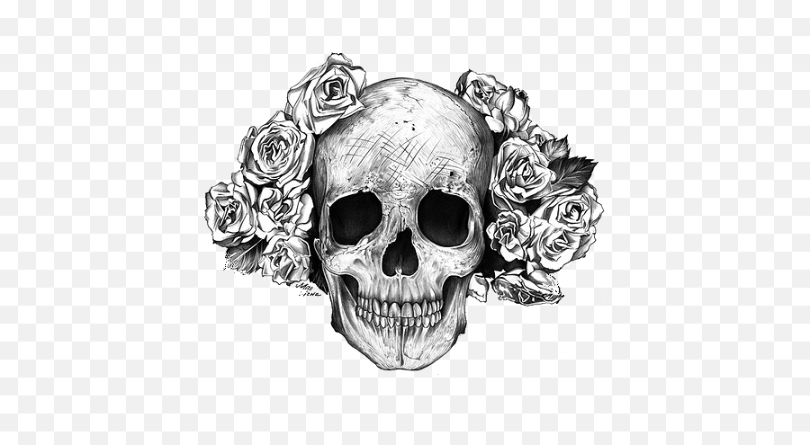 Download Transparent Skull - Skull And Flowers Fb Cover Png,Skull Png Transparent