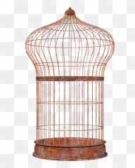 Bird Cage Png Image