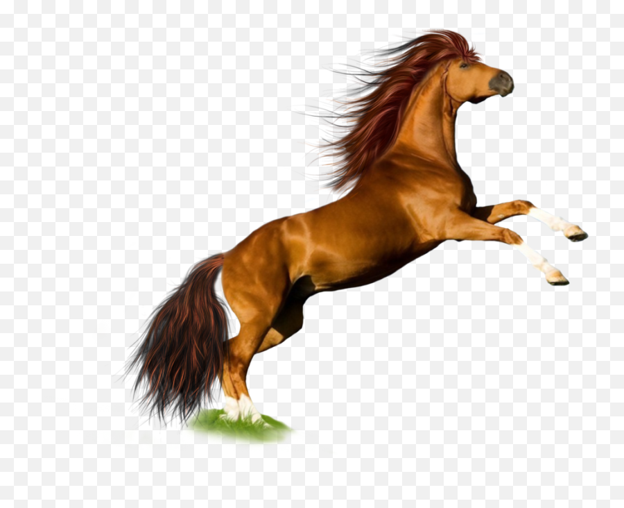Running Horse Png Picture - Horse Png,Horse Running Png