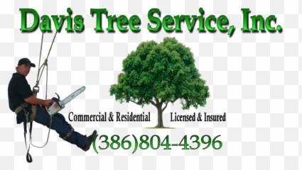 Tree - Logou2013Davis Service Removal png