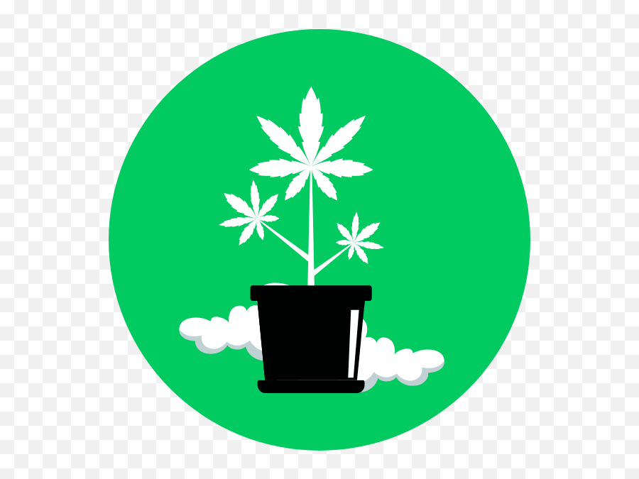 Our Story Cloud 9 Medicinal - Language Png,Marijuana Plant Icon