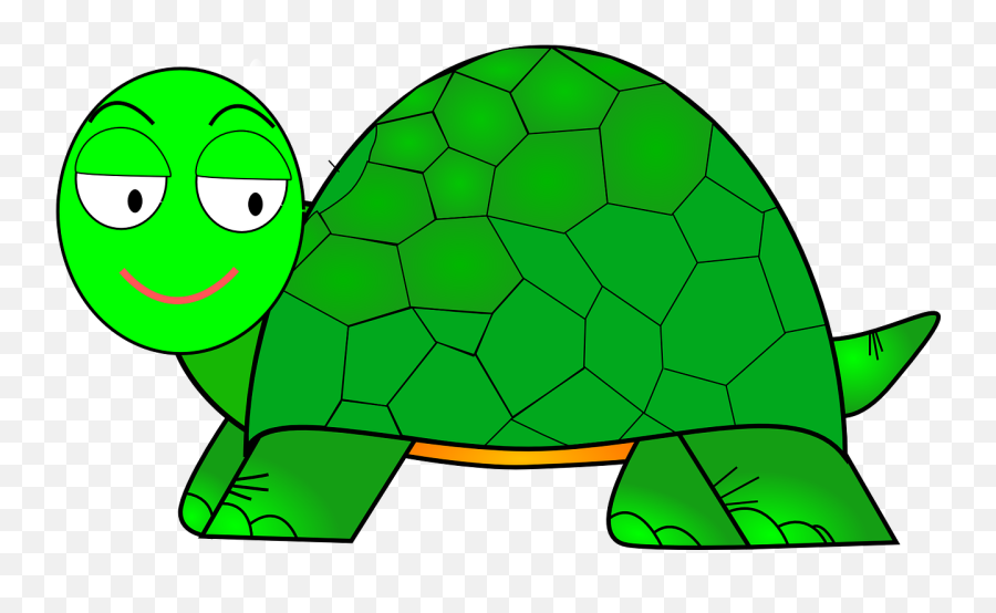 Turtle Cartoon Cute - Free Vector Graphic On Pixabay Cartoon Green Turtle Drawing Png,Cute Turtle Png