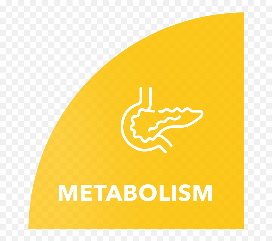 Yes2life Metabolism - Language Png,Metabolic Icon