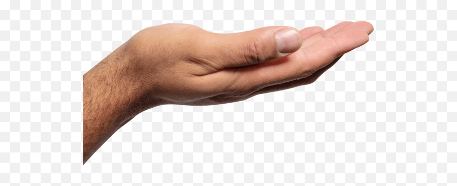 Hand Palm Up Png Picture - Hand Palm Up Transparent,Hand Palm Png