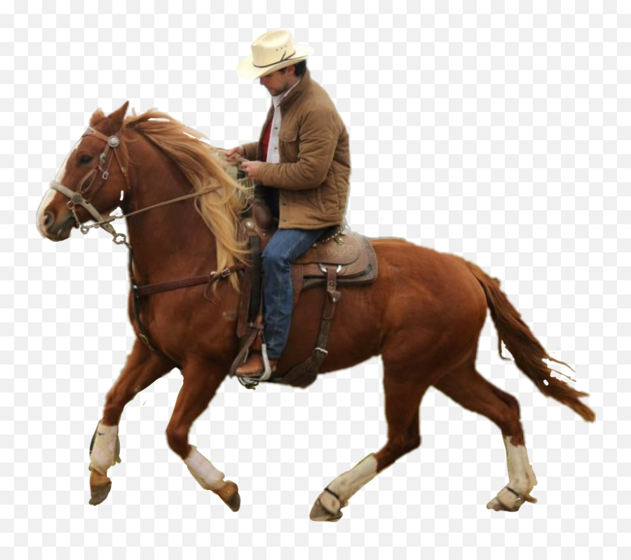 Cowboy Png - Transparent Cowboy On Horse,Cowboy Png