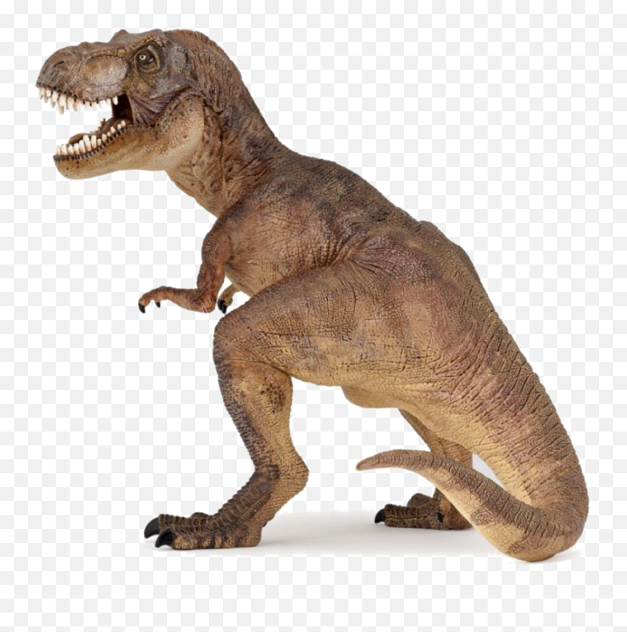Download Free Png T Rex Picture - T Rex,Tyrannosaurus Rex Png