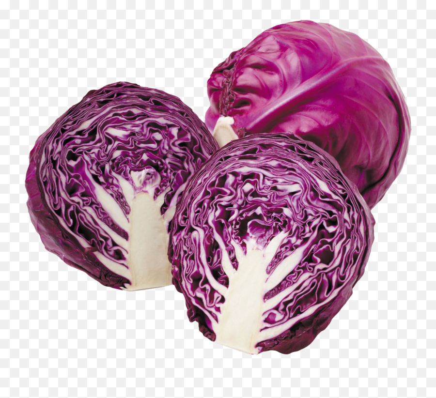 Cabbage Png Free File Download - Red Cabbage,Cabbage Png
