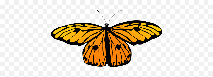 Small Orange Butterfly Vector - Transparent Png U0026 Svg Vector Monarch Butterfly Aesthetic Painting,Butterfly Vector Png