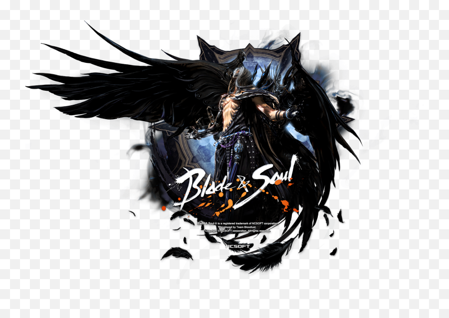 Which I Really Liked - Blade And Soul Loading Logo Png,Blade And Soul Logo