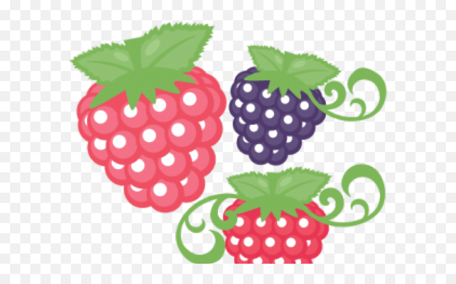 Raspberries Clipart Cute - Cute Raspberry Clipart Png,Raspberries Png