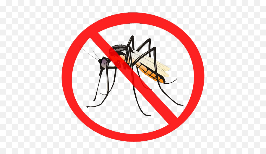 Mosquito Png Transparent Images - Clipart Transparent Background Mosquito,Mosquito Transparent Background