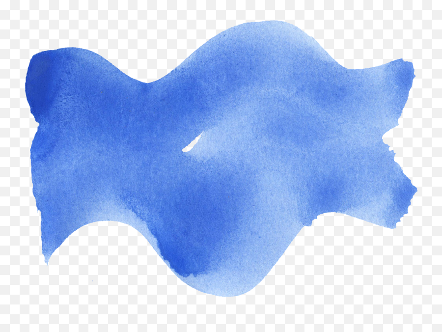 Manta Ray - Rays And Skates Png,Manta Ray Png