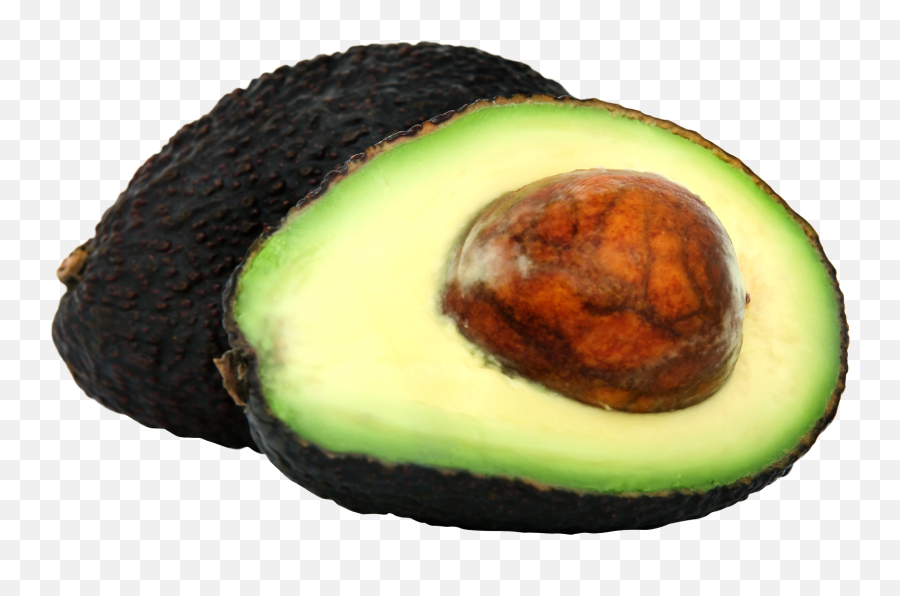 Avocado Png Image For Free Download - Transparent Background Avocado Png,Avacado Png