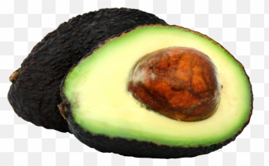 Avocado Png Image For Free Download - Transparent Background Avocado Png,Avacado Png