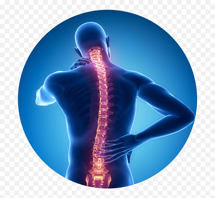 Illustration Of Back In Blue With Spine - Spine Png,Spine Png
