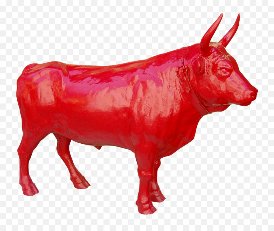 Free Photo Farm Pasture Bull Strong Red Flock Horns Animal - Bulls That Are Red Png,Bull Horns Png