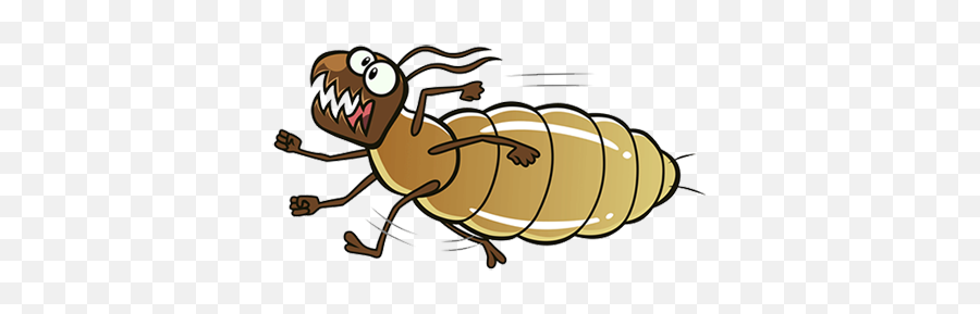 Pest Termite Management For Your - Termite Running Cartoon Png,Termite Png