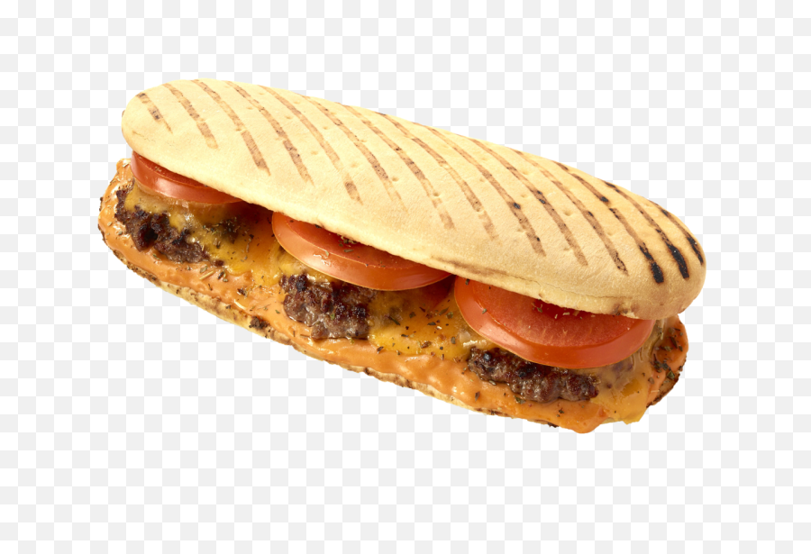 Burger Sandwich Free Png Image Download - Transparent Panini Png,Bun Png