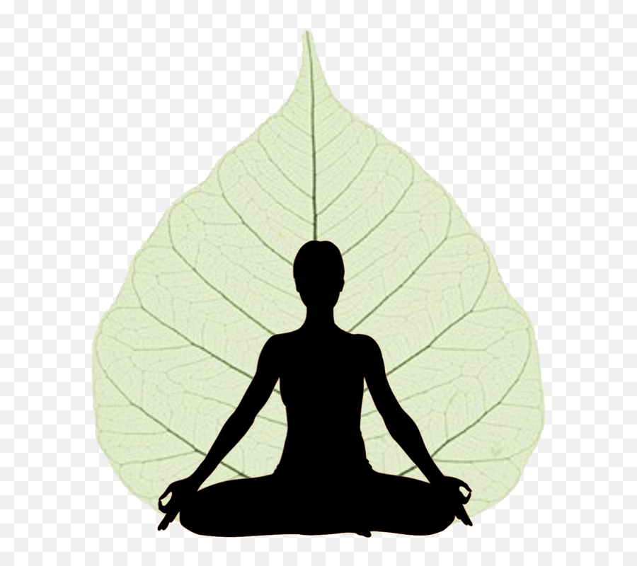 Yoga Teacher Training - Yoga Poses Logo Png,Yoga Png