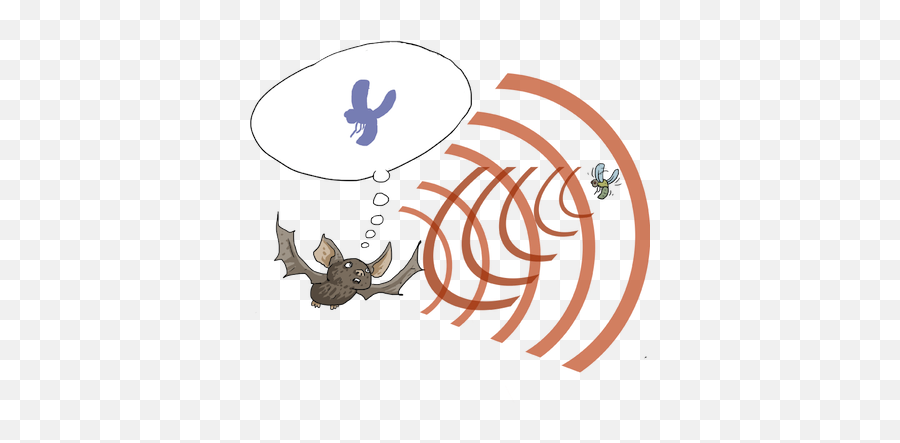 Info - Bat Hearing Clip Art Png,Bats Png