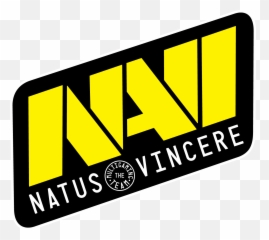 Logos Of Esports Progress - Natus Vincere Logo Png,Esport Logos