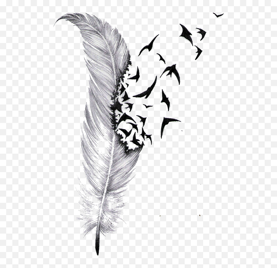 Download Tattoo Feather Drawing Bird - Feather Turning Into Birds Tattoo Png,Feather Drawing Png