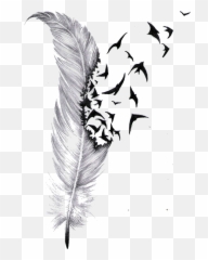 Download Tattoo Feather Drawing Bird - Turning Into Birds png