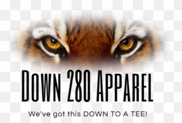 T - Photo Caption png
