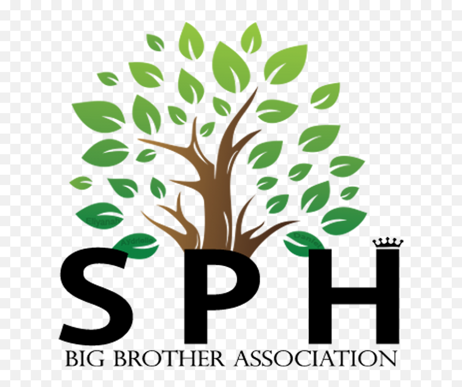 Sph Big Brother Foundation - Powershift Africa Png,Big Brother Logo Png