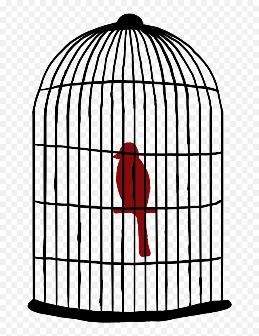 Caged Bird Transparent Images Png Mart - Suite Judy Blue Eyes Lyrics,Cage Transparent