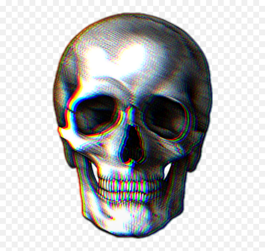 Skulls Sticker Challenge - Skull Art Png,Skull And Roses Icon Tumblr