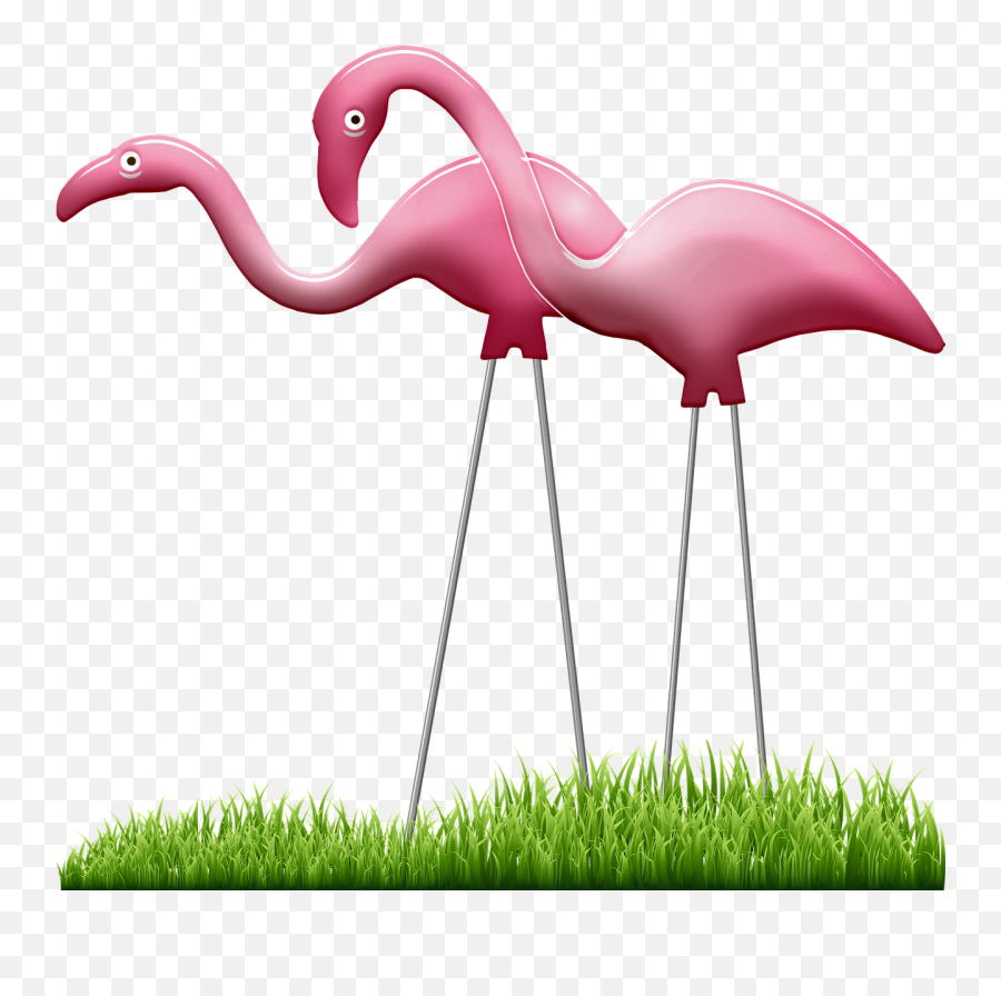 Lawn Flamingo Pink - Free Image On Pixabay Flamingo Grass Png,Flamingo Transparent Background