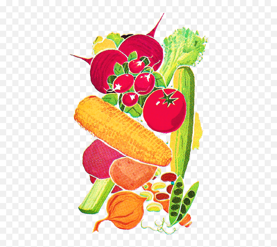 Antique Images Vegetables Stock Image Vintage Illustrations - Vegetable Png,Tomato Clipart Png