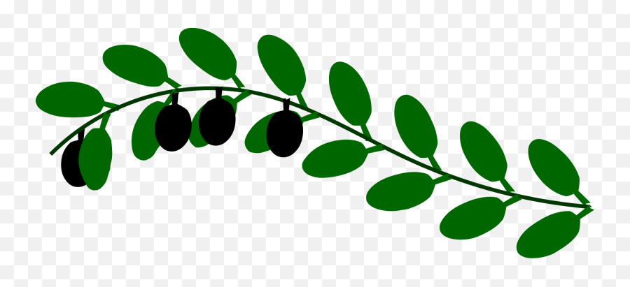 Olive Branch Clipart 23 - 820 X 340 Webcomicmsnet Green Outline Of Leaves Png,Olive Tree Png