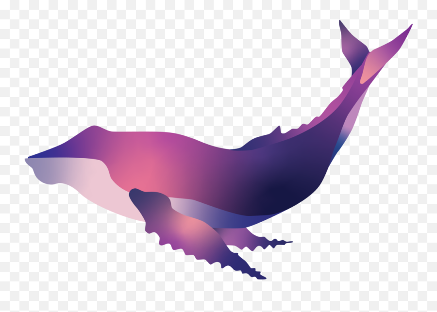 Ocean Lives Xiao Ma Design - Illustration Png,Humpback Whale Png
