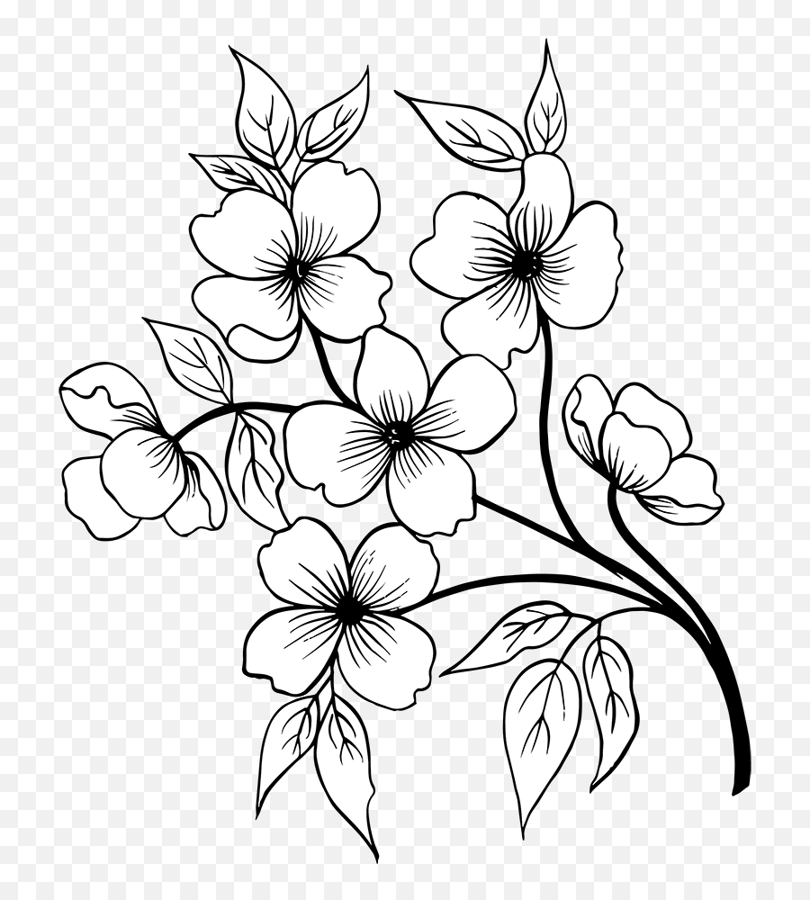 Free Png Hand Drawn Floral Bouquets - Black And White Flower Png,Florals Png
