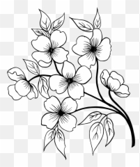 Free Png Hand Drawn Floral Bouquets - Black And White Flower Png,Florals Png