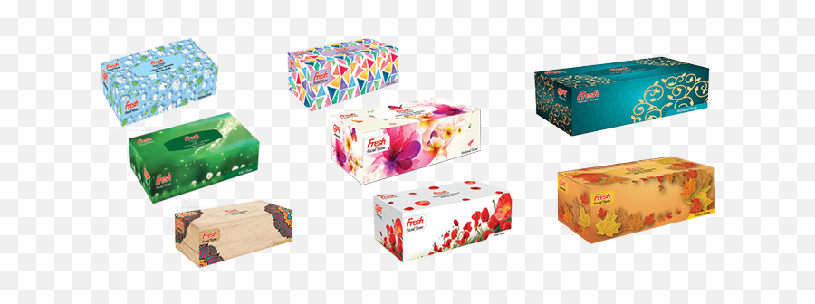 Meghna Group Of Industries - Fresh Facial Tissue Box Png,Tissue Box Png