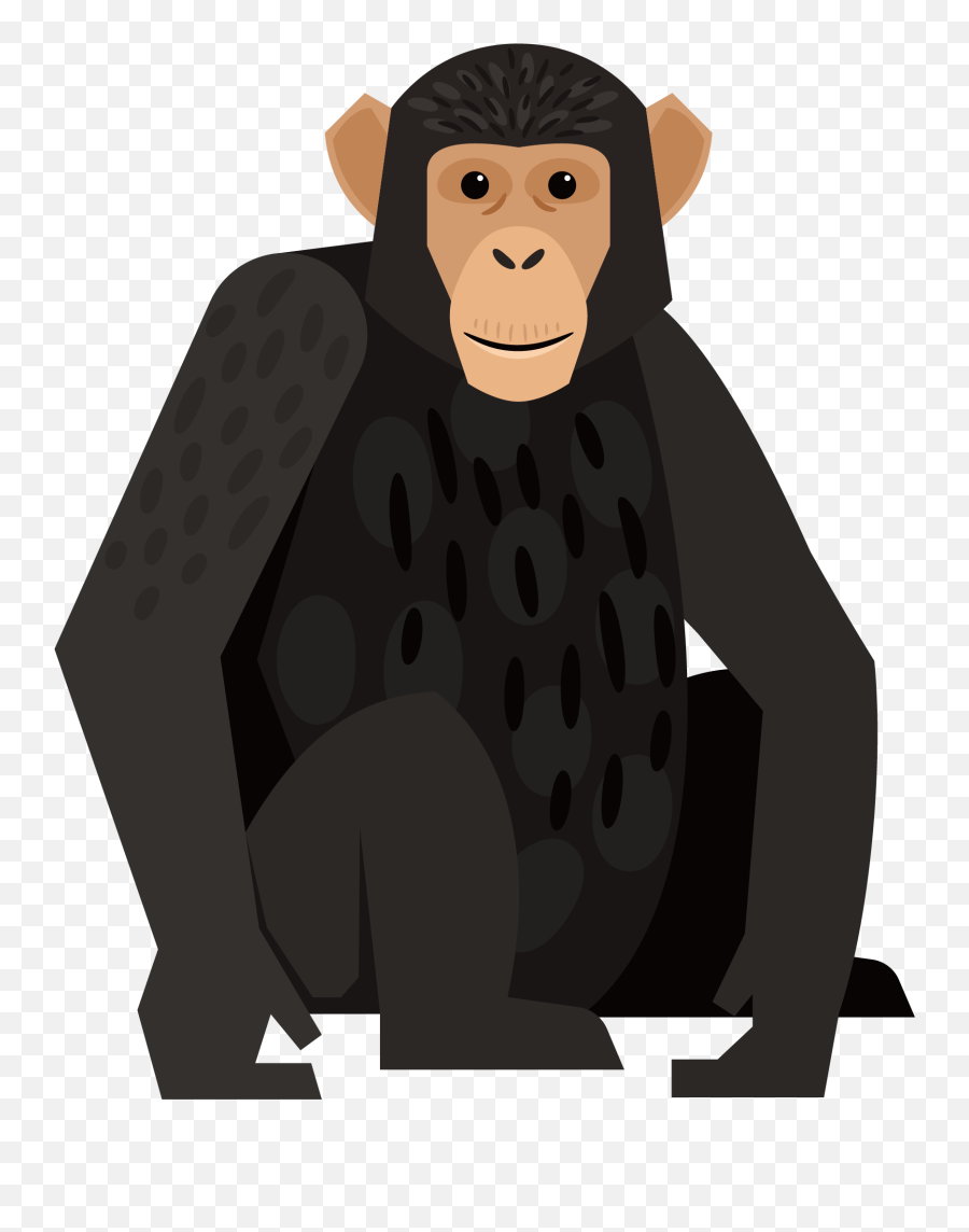 Download Graphic Royalty Free Chimpanzee Monkey Orangutan - Monkey Graphic Png,Orangutan Png