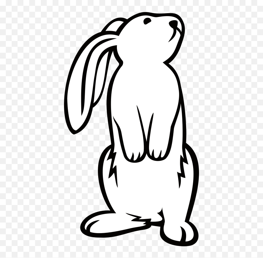 Download Hd White Rabbit Clipart Images - Rabbit Drawing Black And White Png,White Bunny Png
