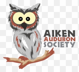 Owl Logo - Delirium Café Png,Owl Logo