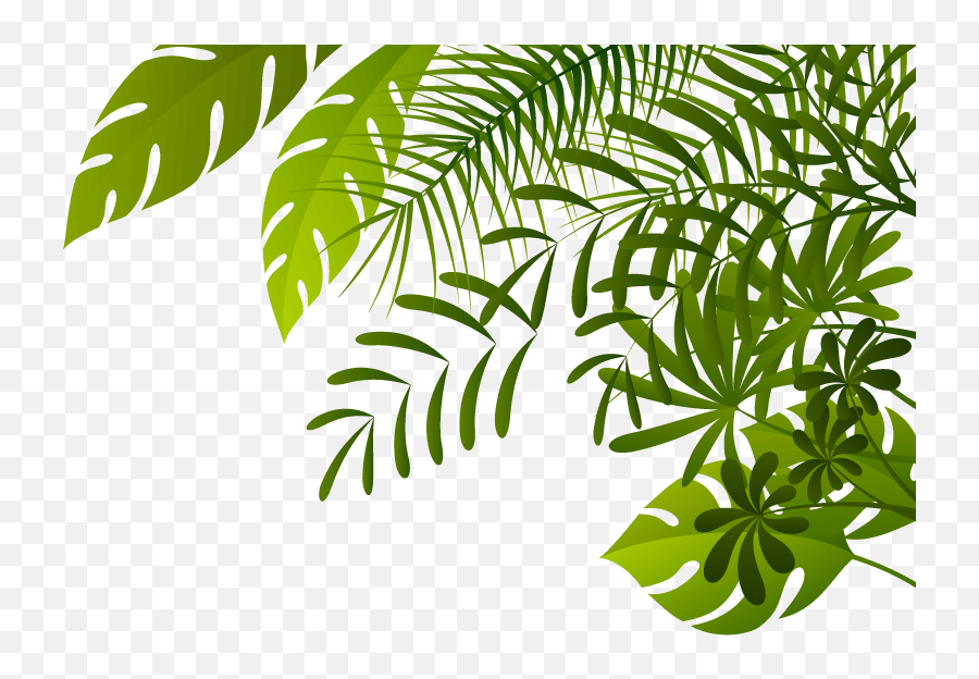 Jungle Clipart Transparent Background - Jungle Leaves Png,Rainforest Png