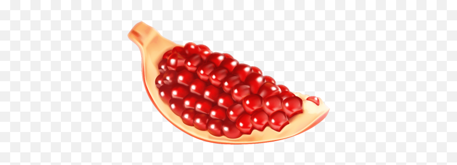 Pomegranate Png Hd 2 - Pomegranate Fruit Cartoon Pomegranate,Pomegranate Png Pomegranate Png Hd 2 - Pomegranate Fruit Cartoon Pomegranate,Pomegranate Png