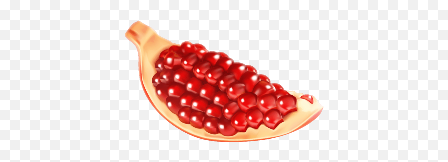 Pomegranate Png Hd 2 - Pomegranate Fruit Cartoon Pomegranate,Pomegranate Png