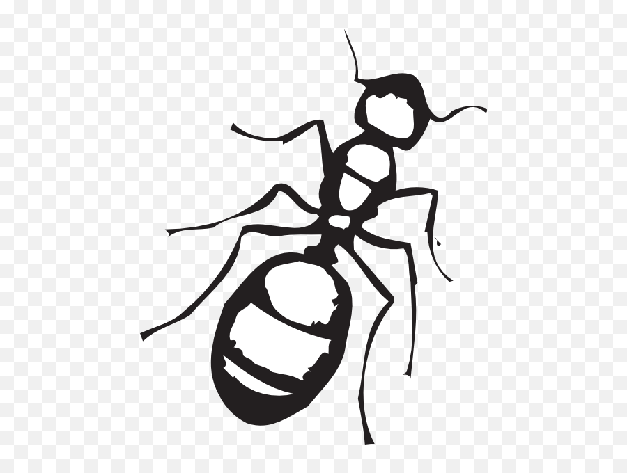 Pencil And In Color Ants Clipart Png - Ant Clipart Black White,Ants Png