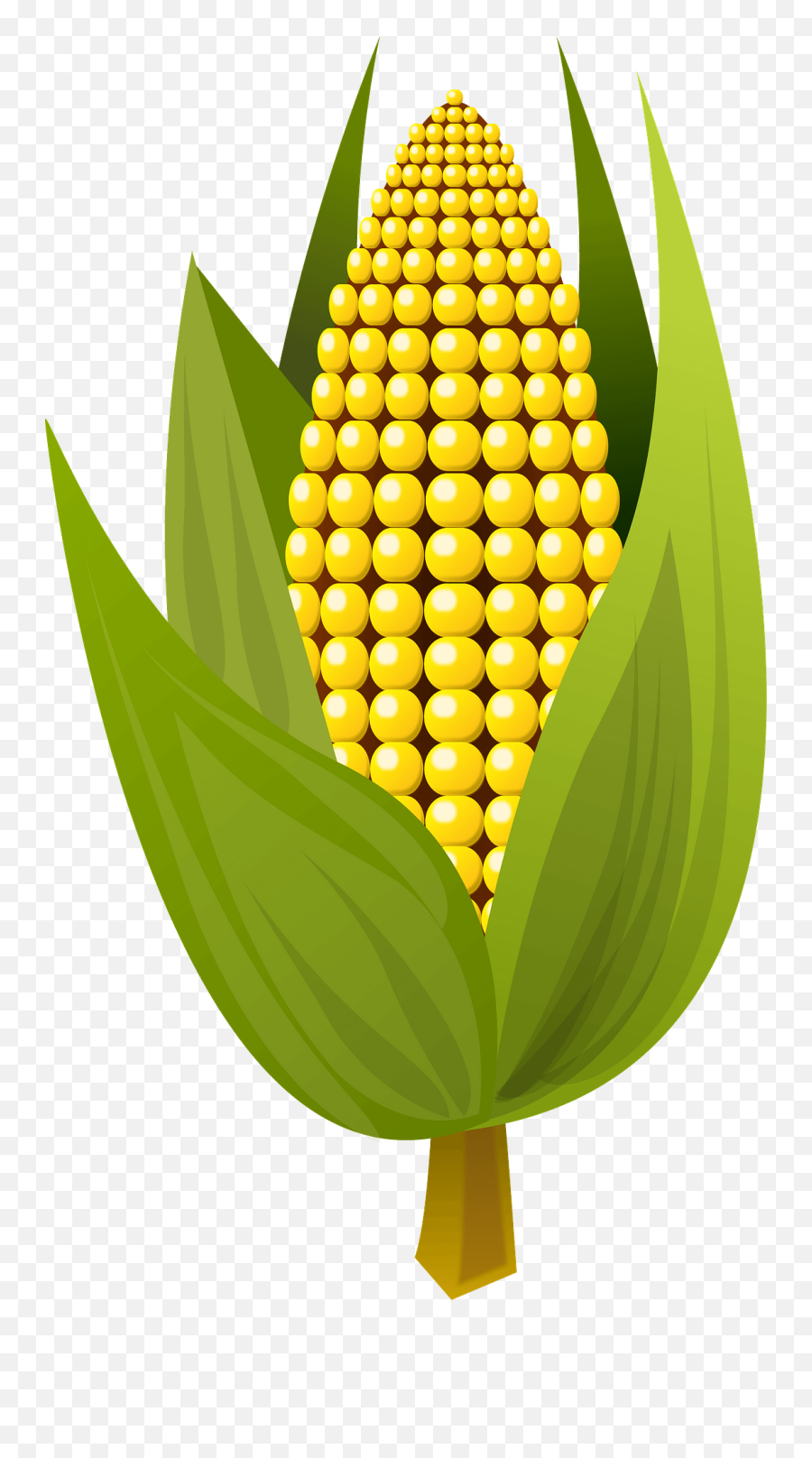 Corn Cob Clipart - Korn Clipart Png,Corn On The Cob Png