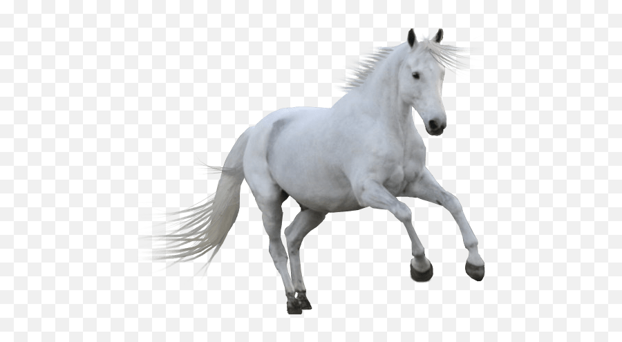 White Horse Running Png Transparent Image 5 - Free White Horse Png,Running Transparent